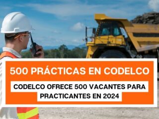 Revisa 500 cupos en CODELCO para prácticas de verano 2024
