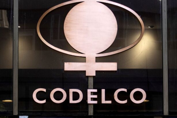 Intensa semana: Codelco anuncia cambios en su estructura principal y suma una nueva renuncia