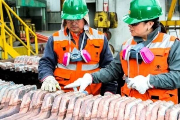 Trabajos disponibles en SQM: Te contamos como puedes postular