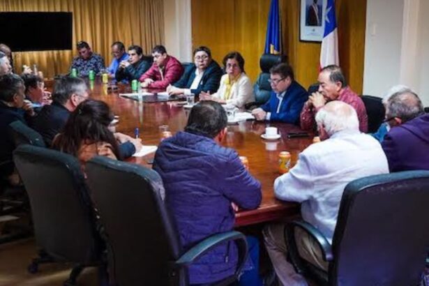 Ministra Williams anunció que primeros procesos participativos por Estrategia Nacional del Litio serán en Atacama