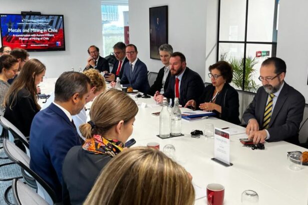 Ministra Williams aborda en Londres estímulo a inversiones en Chile: “Buscamos generar instituciones sólidas y procesos fluidos”