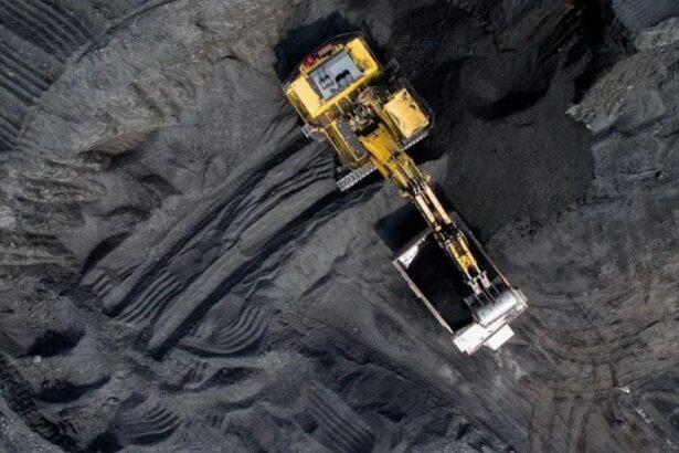 "El Futuro de la Minería de Carbón: Un Análisis Profundo de las Decisiones Judiciales"