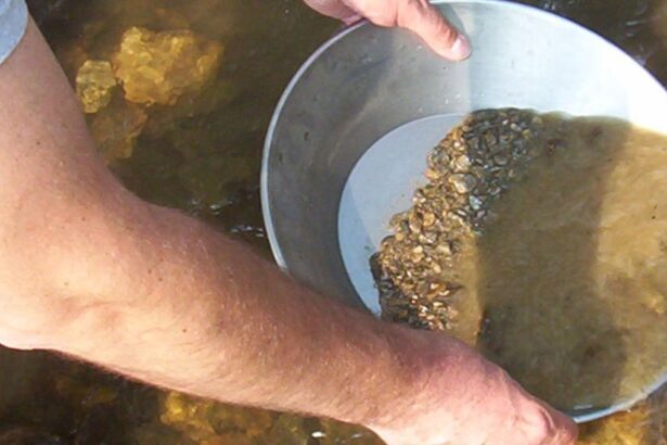 Potenciando la Minería del Oro Aluvial en el Sur de Chile