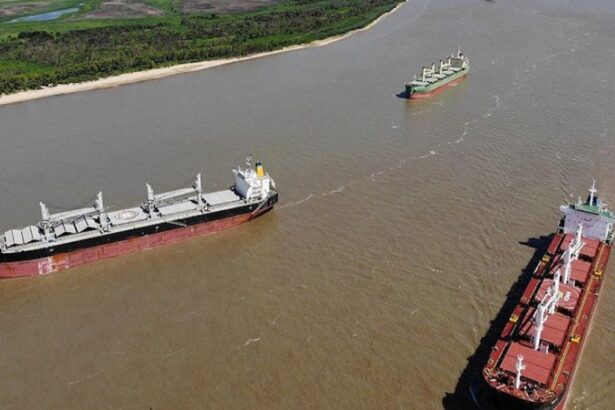 Argentina: Combustible en Espera: Buques Detenidos en el Río de la Plata Aguardan Autorización Gubernamental para Pago en Dólares