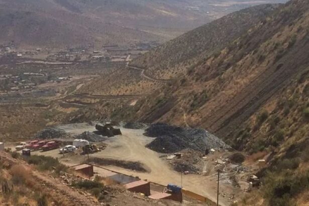 Altiplano Metals Revela Resultados Positivos y Actualizaciones en El Peñón