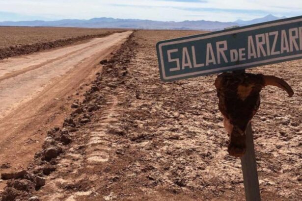 Argentina: Avances Prometedores en Proyectos de Litio en la Puna Salteña
