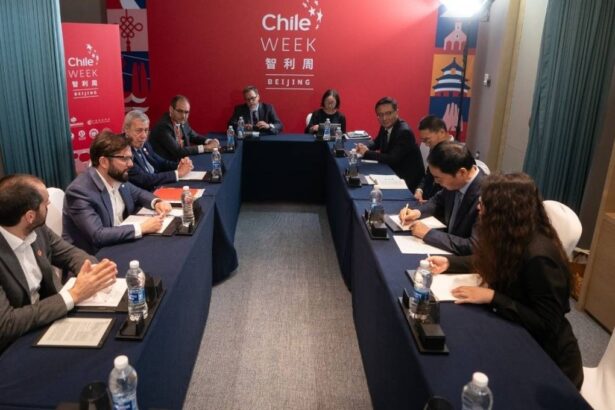 Inversión China Revoluciona la Estrategia Nacional del Litio Chileno con Más de 200 Millones de Dólares