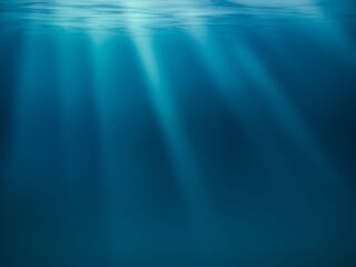 Minería en aguas profundas: ¿Un impulso insensato o una solución para la transición energética?