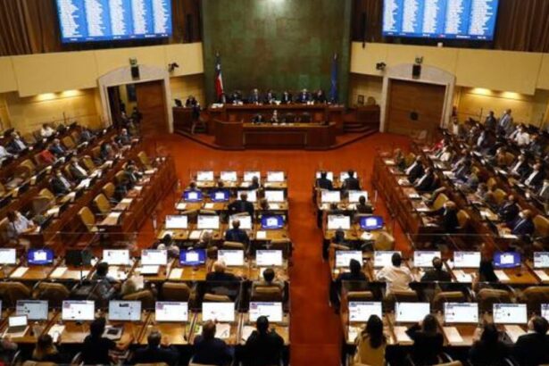 Cámara de Diputados Aprueba Presupuesto para Minería: Un Paso Adelante en la Estrategia Nacional de Litio