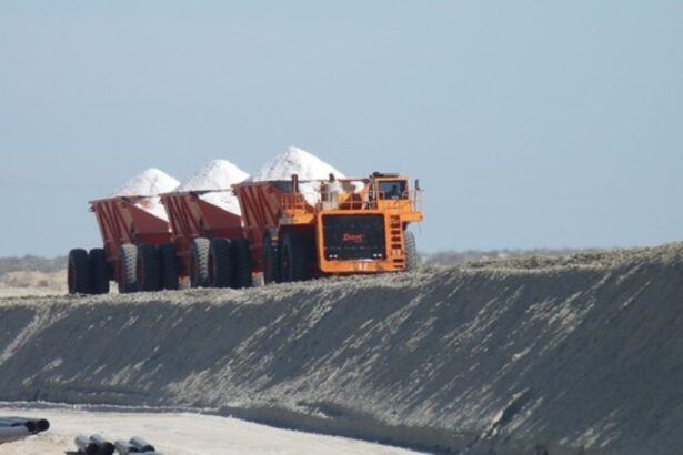 Ganfeng Lithium en Pausa: Concesiones Revocadas en México