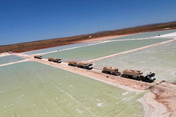 Reward Minerals Adquiere Proyecto Beyondie SOP en Western Australia