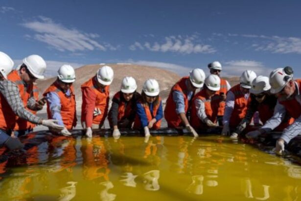 ¿Por qué las corredoras siguen apostando por SQM? En el año la minera pierde US$ 8 mil millones de valor bursátil