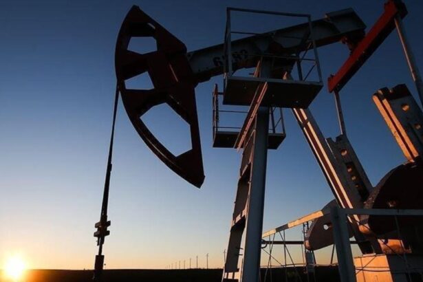 Precios del Petróleo Caen Antes del Día de Acción de Gracias y la Reunión de OPEC+