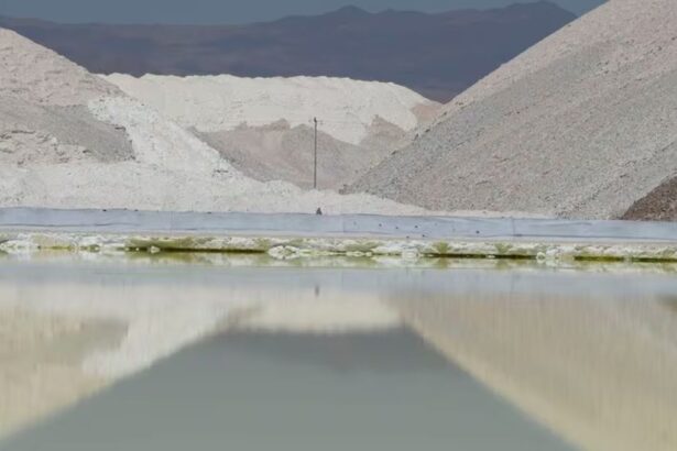 Grandes mineras piden agilizar vías para impulsar industria del litio