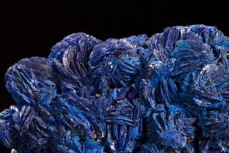 Metales Preciosos y Minerales Espaciales: Una Riqueza Inexplorada