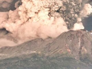 El Volcán Calbuco y su Impacto en la Flora: Un Estudio Revelador