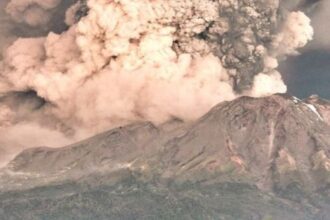 El Volcán Calbuco y su Impacto en la Flora: Un Estudio Revelador