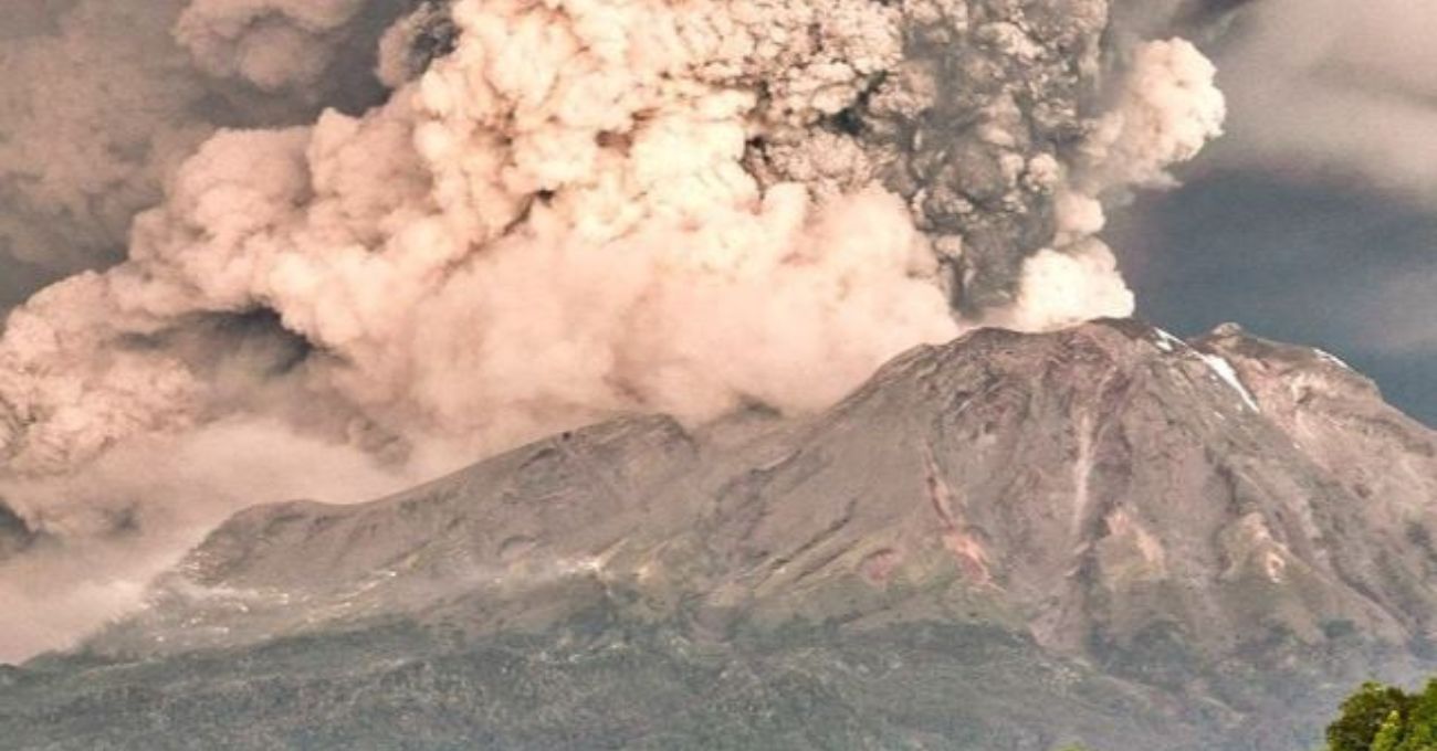 El Volcán Calbuco y su Impacto en la Flora: Un Estudio Revelador