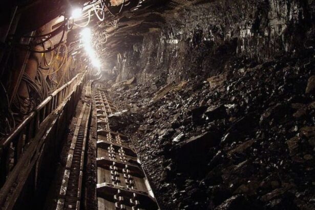 Canadá Pierde la Oportunidad en la Revolución de Minerales Críticos: Un Análisis