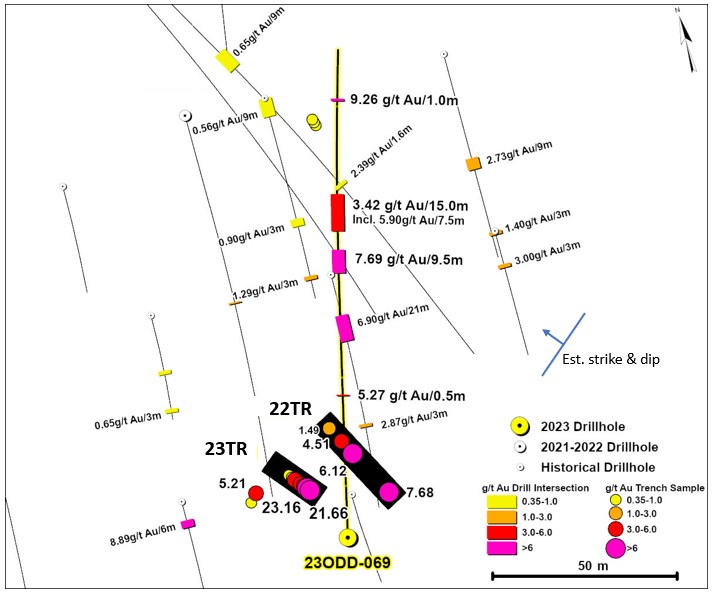 Guyana: Omai Gold Mines anuncia 7,69 g/t Au en 9,5 m y 3,4 g/t en 15,0 m desde el objetivo de exploración