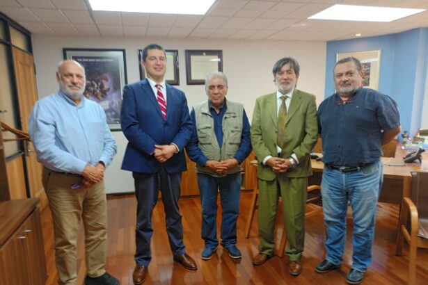 Instituto de Ingenieros de Minas realiza primer encuentro con la Universidad de Concepción en el marco del Seminario FURE 2024