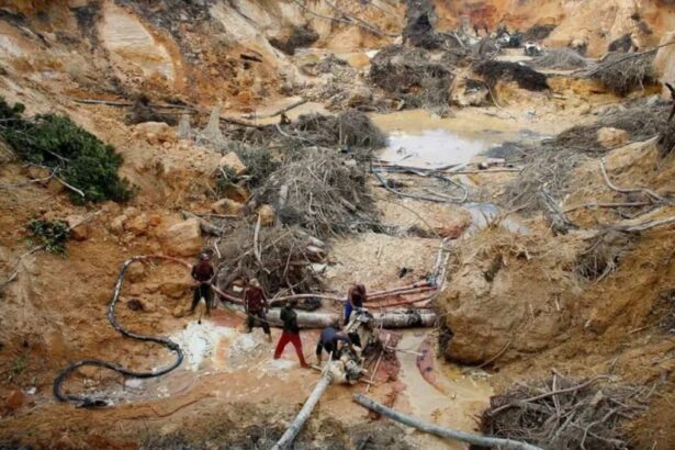 Tragedia en Venezuela: Colapso de Mina de Oro Deja un Rastro de Muerte y Devastación