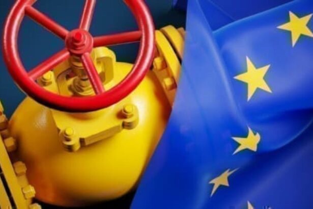 La UE da un paso significativo para reducir su dependencia del gas ruso