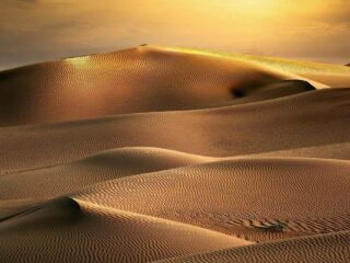 Maaden Descubre Nuevos Yacimientos de Oro en Arabia Saudita: Un Impulso para la Producción Nacional