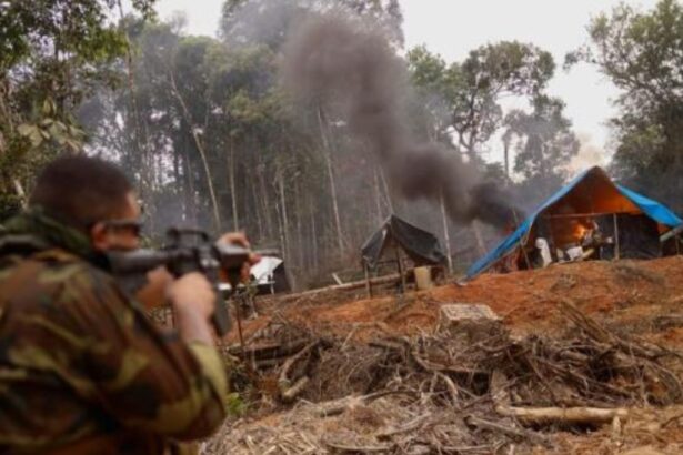Brasil intensifica sus esfuerzos contra los mineros salvajes en la Amazonia