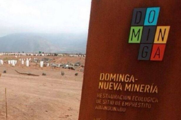 Comité de Ministros contradijo abiertamente lo ya resuelto por la justicia ambiental en dos oportunidades