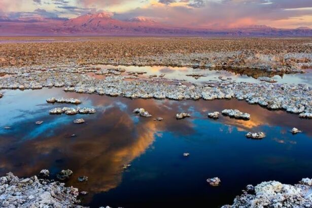 Expresidentes de Codelco aplauden acuerdo para ingreso anticipado al salar de Atacama