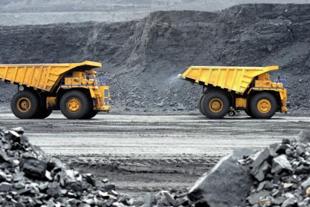 Delta adquiere derechos minerales de LCT sobre el proyecto de WA de Dalaroo