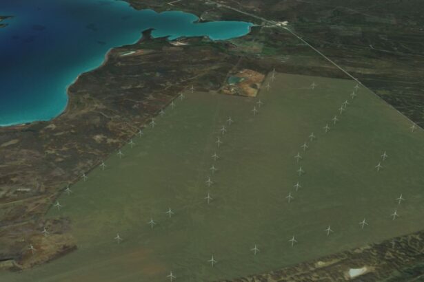 HIF Global y Enel Green Power reingresan estudio de impacto ambiental de proyecto eólico Faro del Sur por US$ 500 millones