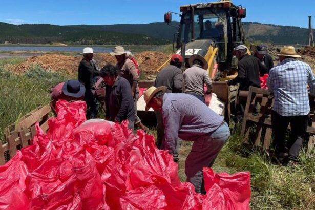 División El Teniente adquiere 500 toneladas de sal a Cooperativa de Salineros de Lo Valdivia