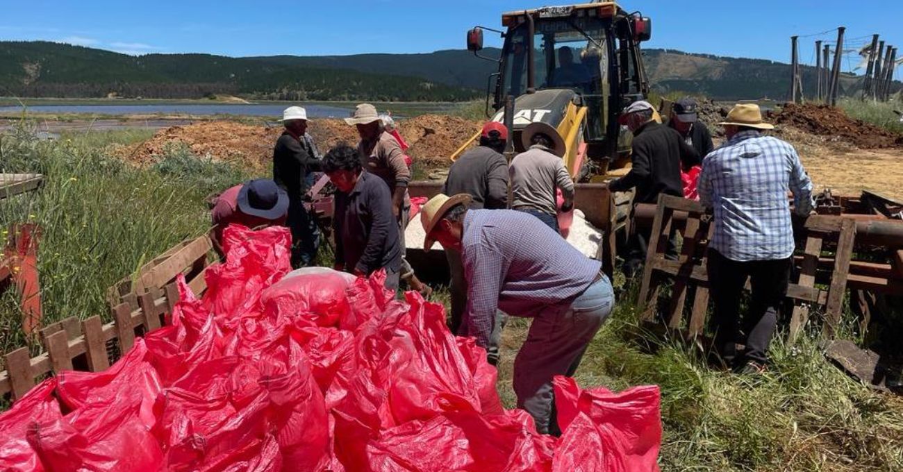 División El Teniente adquiere 500 toneladas de sal a Cooperativa de Salineros de Lo Valdivia