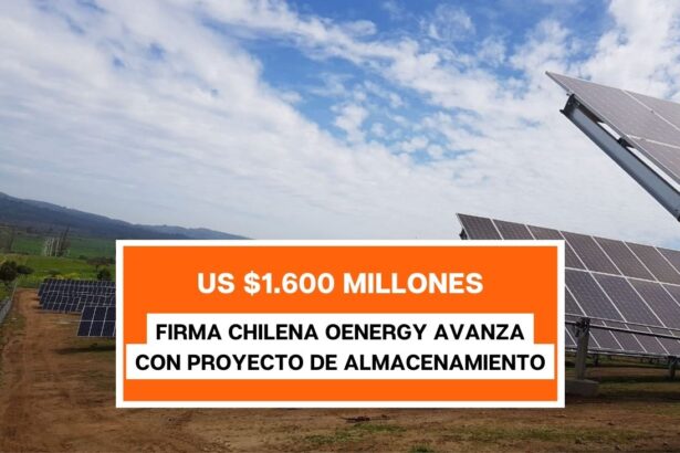 Firma Chilena oEnergy proyecta inversiones históricas en almacenamiento de energía renovable por más de US$1.600 millones