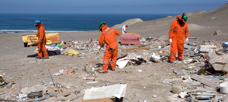 Más de siete toneladas y media retiran trabajadores y empresas del Proyecto C20+ de Collahuasi en operativos de limpieza en el borde costero