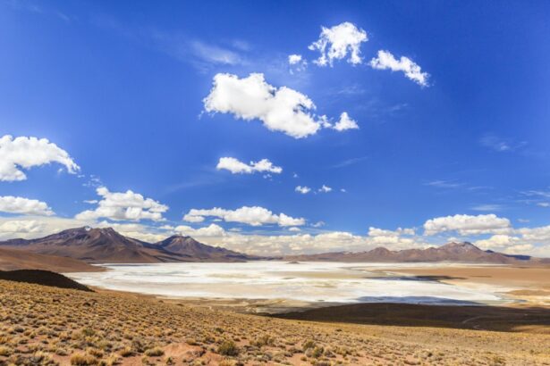 Codelco y SQM logran acuerdo para una asociación público privada para el desarrollo del litio en el Salar de Atacama