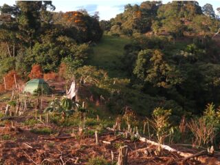Perú: Hannan descubre un nuevo grupo de pórfido alcalino-oro-cobre epitermal en Valiente