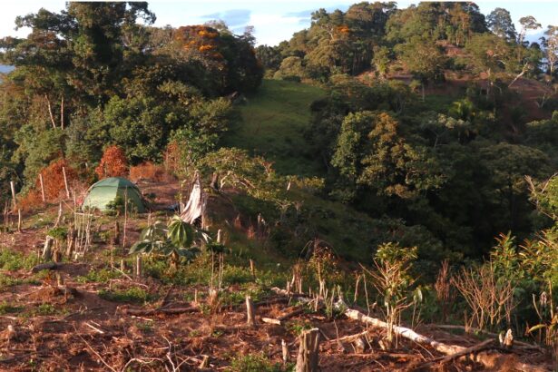 Perú: Hannan descubre un nuevo grupo de pórfido alcalino-oro-cobre epitermal en Valiente