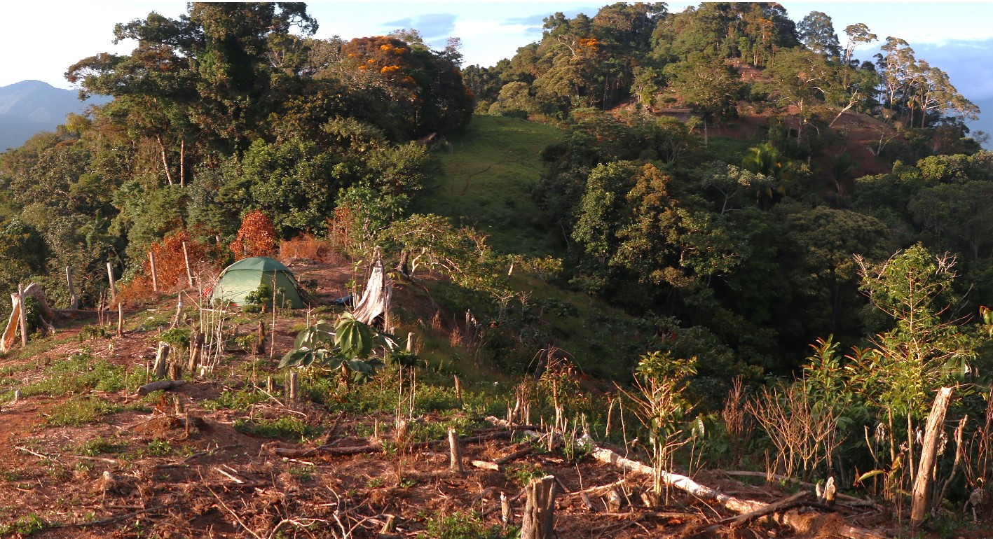 Perú: Hannan descubre un nuevo grupo de pórfido alcalino-oro-cobre epitermal en Valiente