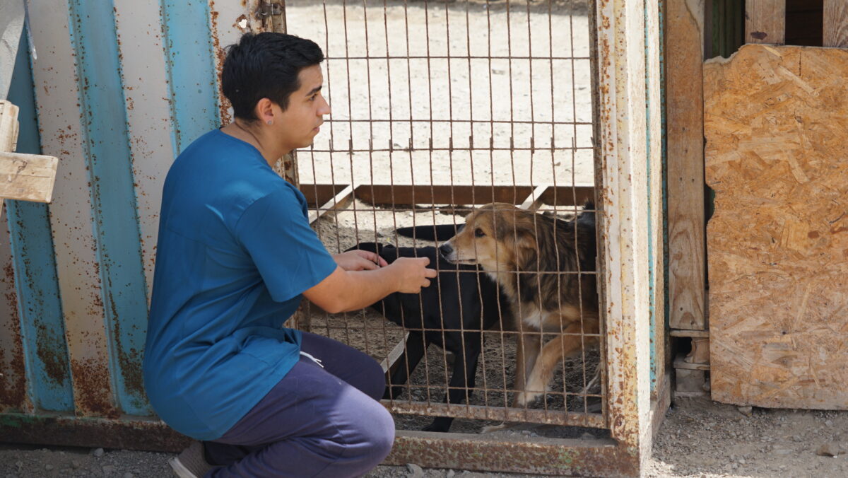 Con programa de voluntariado de El Abra se inauguró nuevo canil post operatorio En Tocopilla