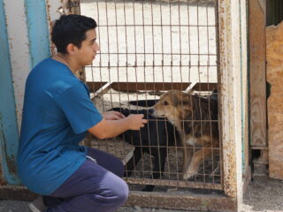 Con programa de voluntariado de El Abra se inauguró nuevo canil post operatorio En Tocopilla