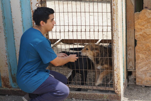 Con programa de voluntariado de El Abra se inauguró nuevo canil post operatorio En Tocopilla