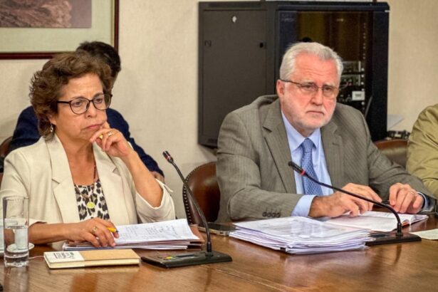 Ministra Williams destaca avances en la implementación de la  Estrategia Nacional del Litio