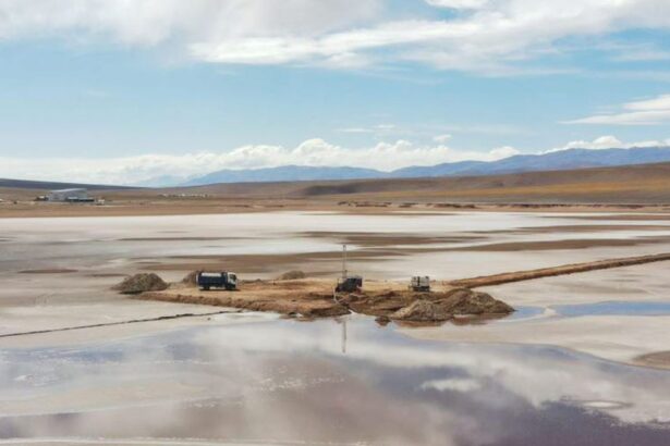 Lithium South anuncia acuerdo de desarrollo cooperativo con POSCO Argentina SAU en el proyecto Proyecto Hombre Norte de Litio