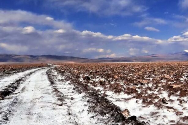 Argentina: Rio Tinto obtiene luz verde para proyecto de litio en la provincia de Salta