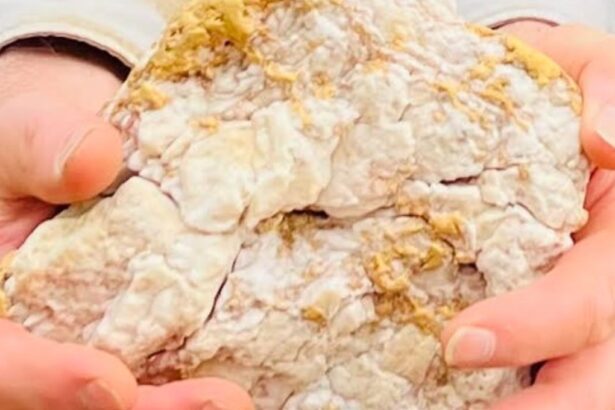 Historia de un hallazgo: “piedra sucia” y resultó ser una pepita de oro de US$160.000