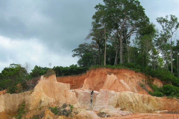 Brasil: Cabral Gold perfora 10m @ 10,5 g/t de oro, incluido 1m @ 63,6 g/t de oro en el Depósito Central de Oro, Distrito de Oro Cuiú Cuiú