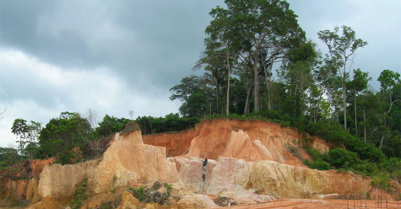 Brasil: Cabral Gold perfora 10m @ 10,5 g/t de oro, incluido 1m @ 63,6 g/t de oro en el Depósito Central de Oro, Distrito de Oro Cuiú Cuiú